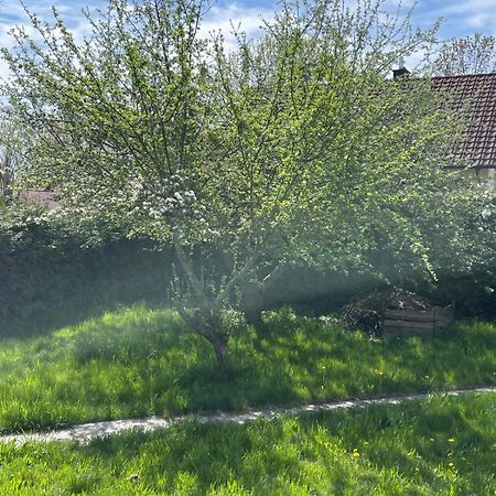 לנדשט Bungalow In Ruhiger Siedlung Mit Stellplatz מראה חיצוני תמונה